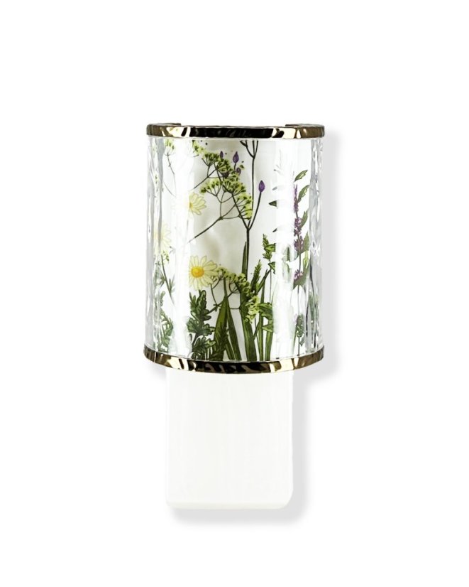 Wallflower Plug SPRING FLOWERS