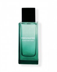 Pánský parfém FRESHWATER 100 ml