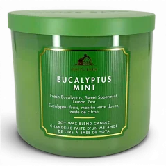 3-knotová vonná svíčka EUCALYPTUS MINT 411 g