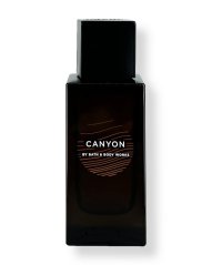 Men's Perfume CANYON 100 ml