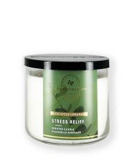 3-wick Candle EUCALYPTUS SPEARMINT 411 g