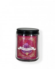 Single Wick Candle SPICED APPLE TODDY  198 g