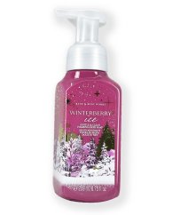 Schaumhandseife WINTERBERRY ICE 259 ml