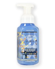 Foaming Hand Soap CRISP MORNING AIR 259 ml